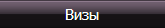 Визы